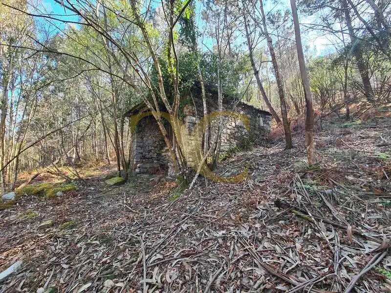 Vista exterior de Casa o xalet en venda en Villayón amb Jardí privat