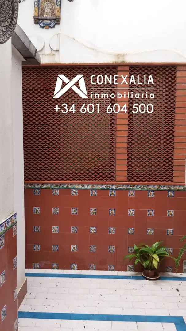 Casa con terrazza in vendita a Olvera, imagen 8