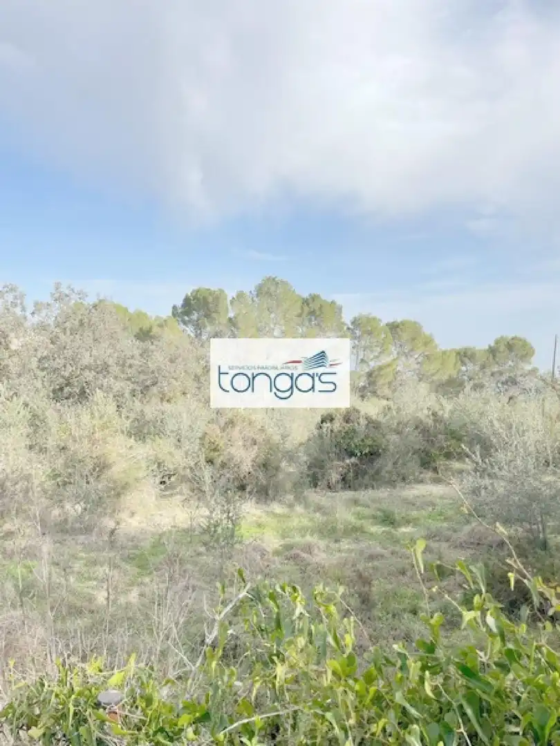 Terreny residencial en venda a Xàtiva, imagen 12