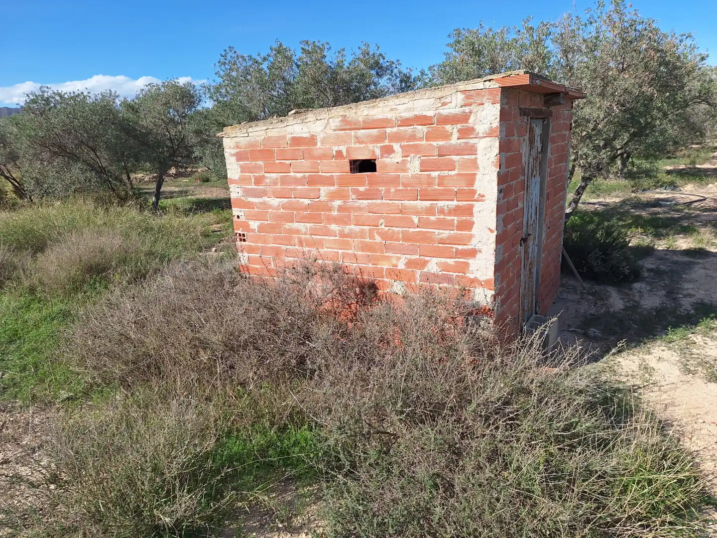 Finca rústica en venta en Alicante / Alacant con Trastero