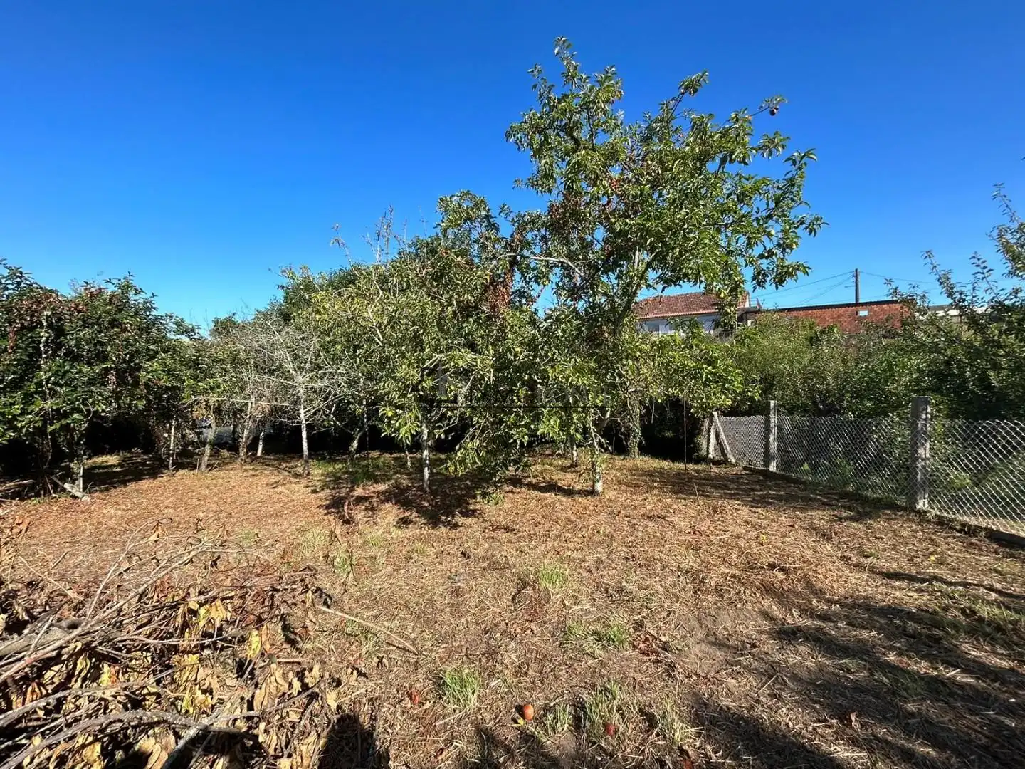 Casa o xalet en venda en Vilaboa amb Jardí privat