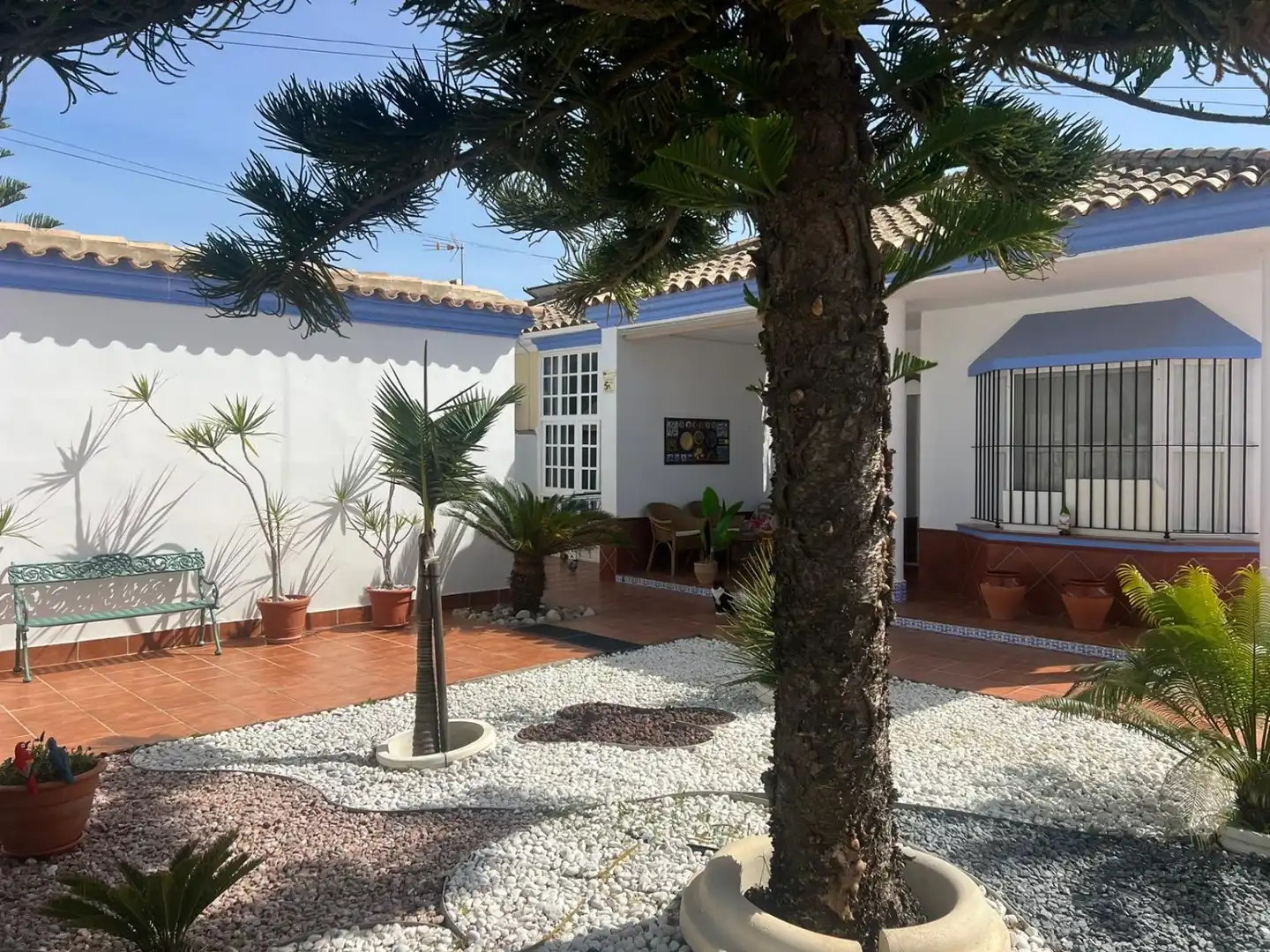 Garden of Houses for sale in Chiclana de la Frontera  with Storage room, Swimming Pool and Oven