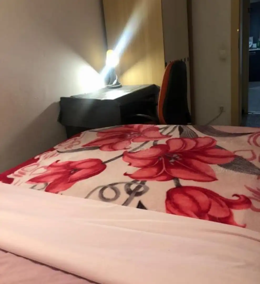Room in La Font de la Guatlla