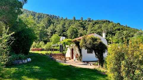 Maset ecológico con vistas espectaculares en Freginals