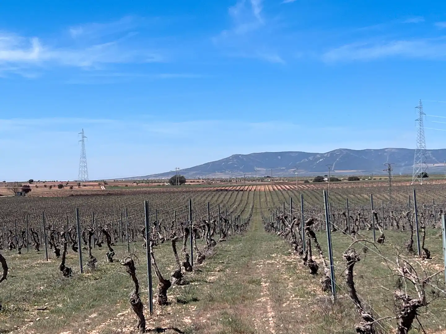 Terreno rustico in vendita a Arenas de San Juan, imagen 2
