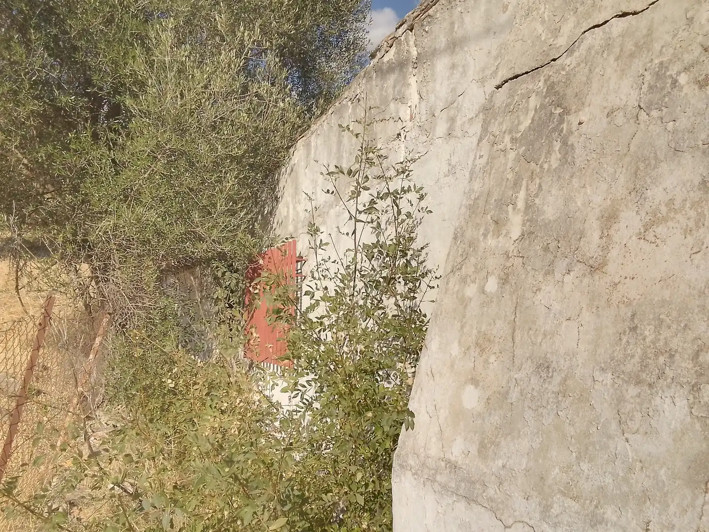 Terreni e lotti in vendita a Ubrique, imagen 5