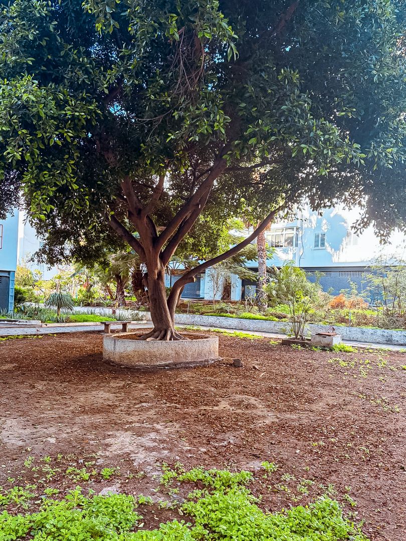 Exterior view of Flat for sale in Las Palmas de Gran Canaria  with Furnished