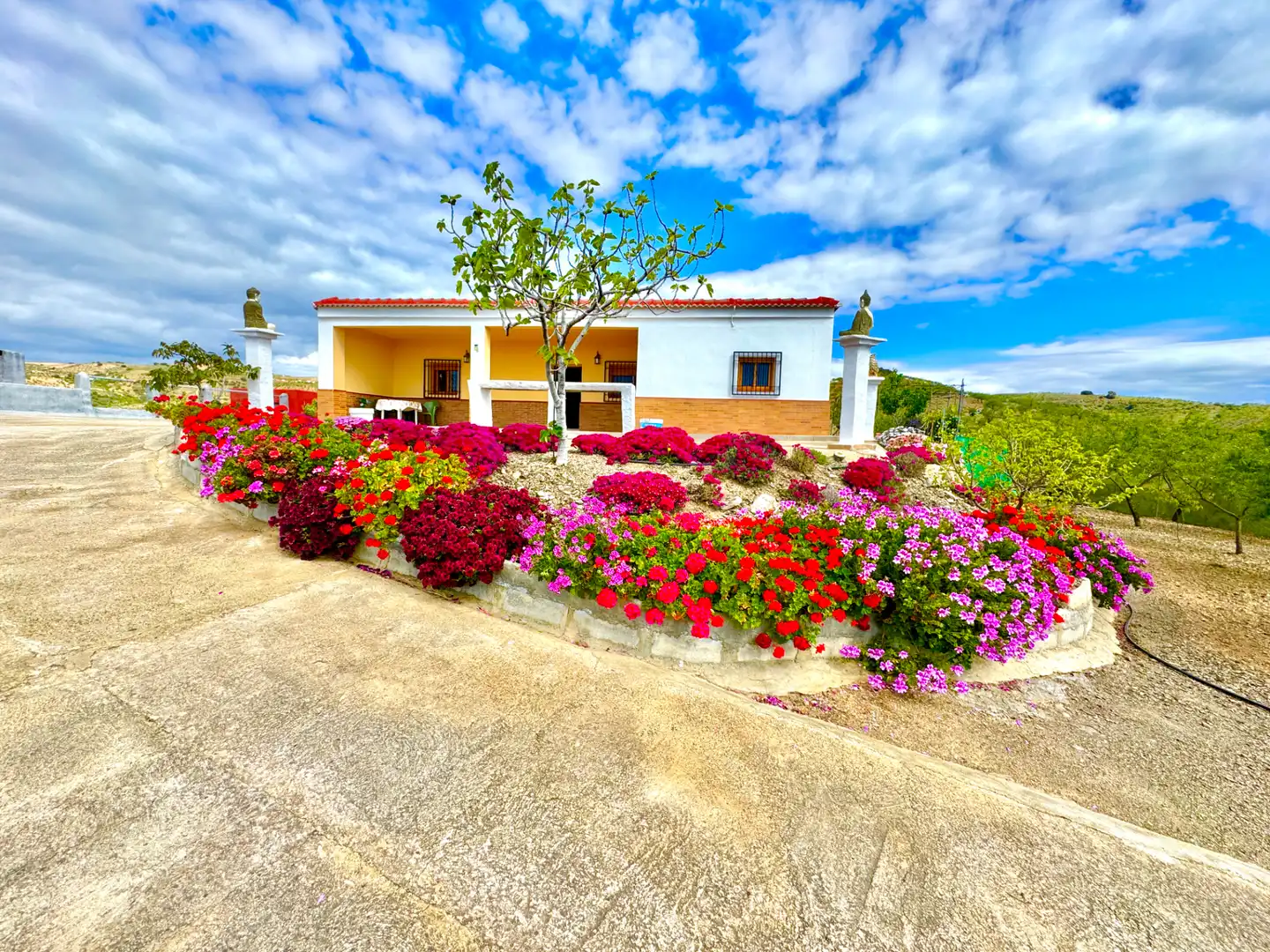 Garden of Country homes for sale in Albondón  with Private garden, Terrace and Storage room