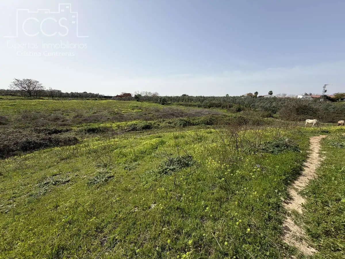 Country homes for sale in Pilas  with Swimming Pool