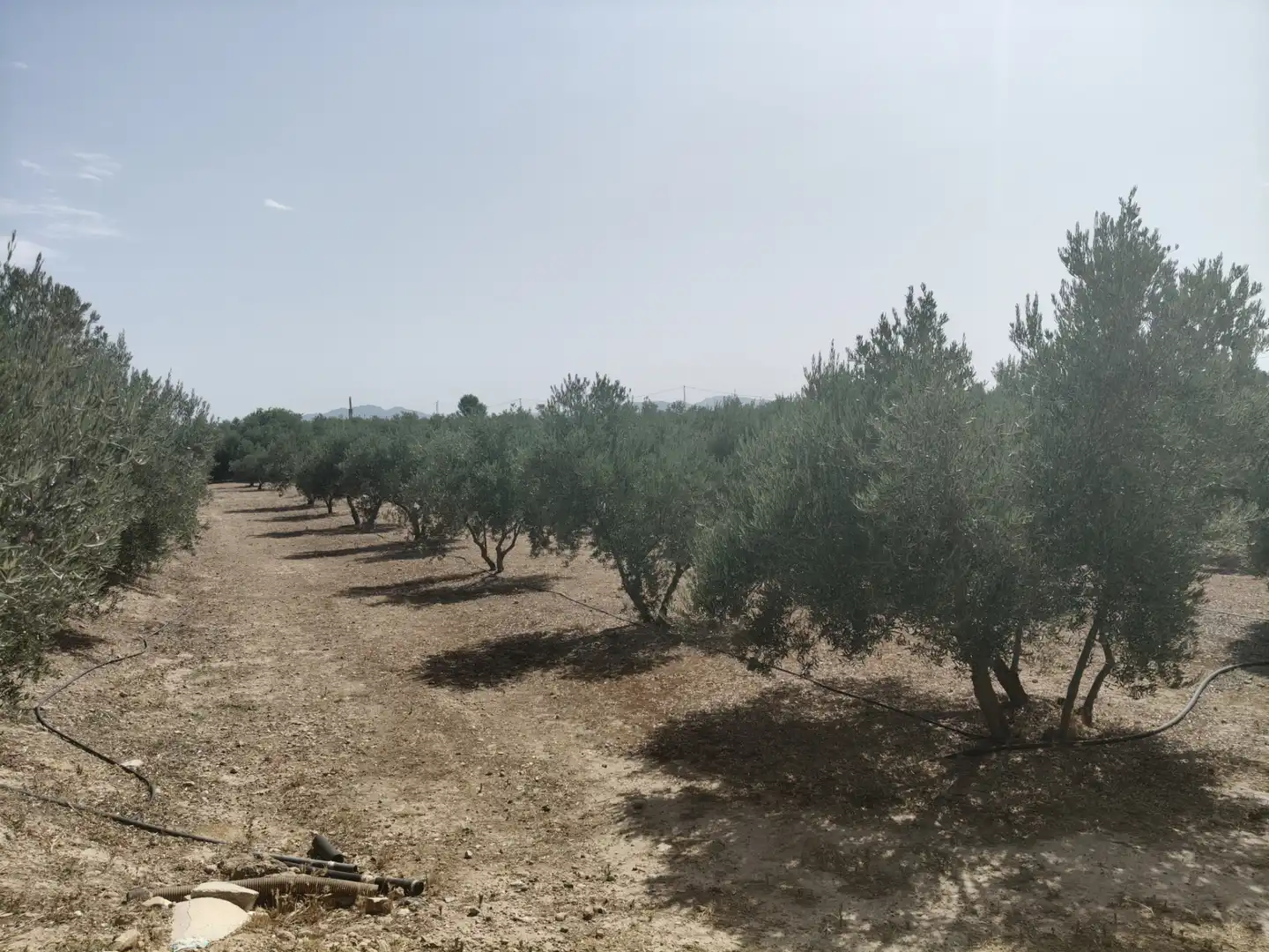 Houses for sale in Baza