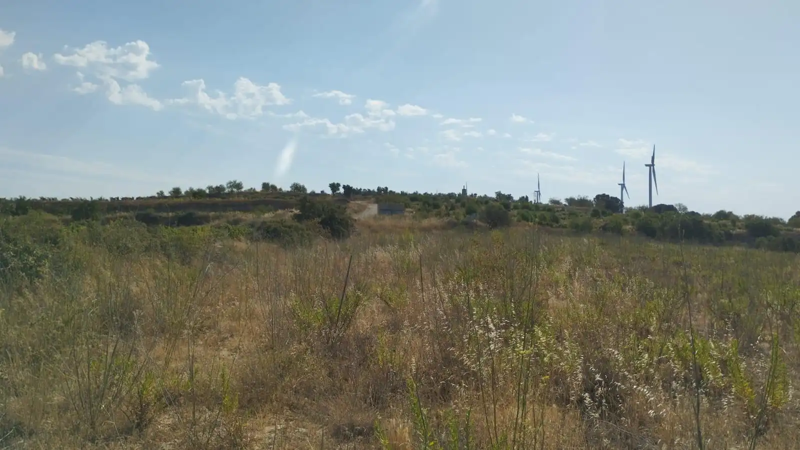 Terreno rústico en venta en Vilalba dels Arcs, imagen 3