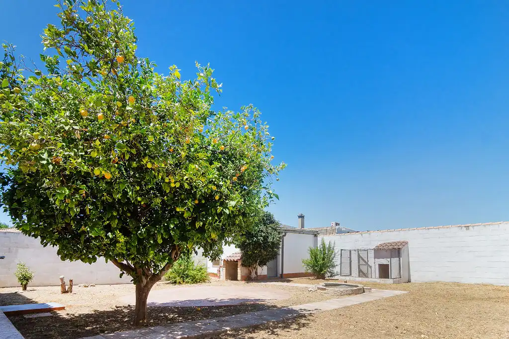 Chalet en venta en Camino Simón Bolívar, imagen 21