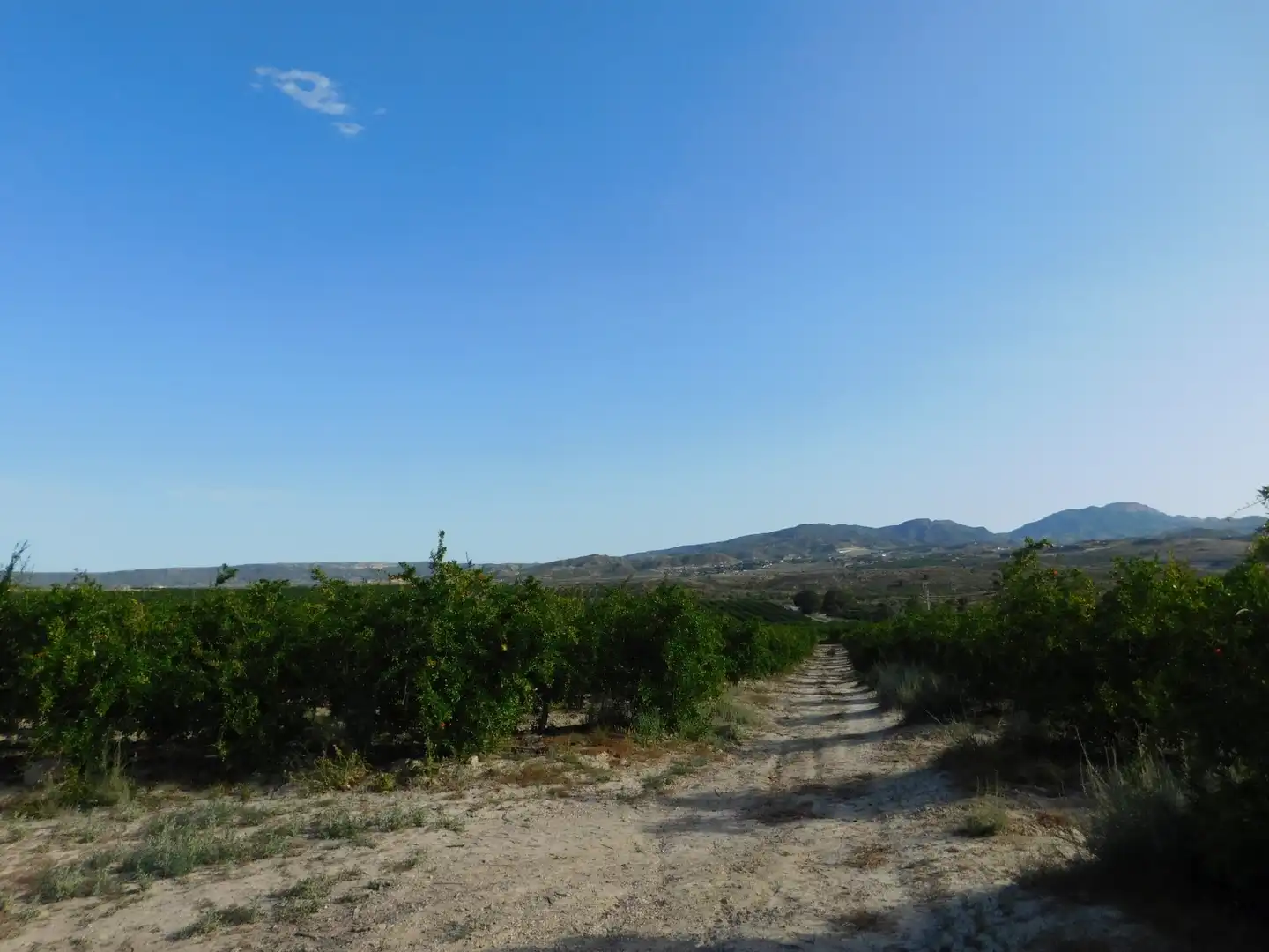 Terreno residencial en venta en San Miguel de Salinas, imagen 15