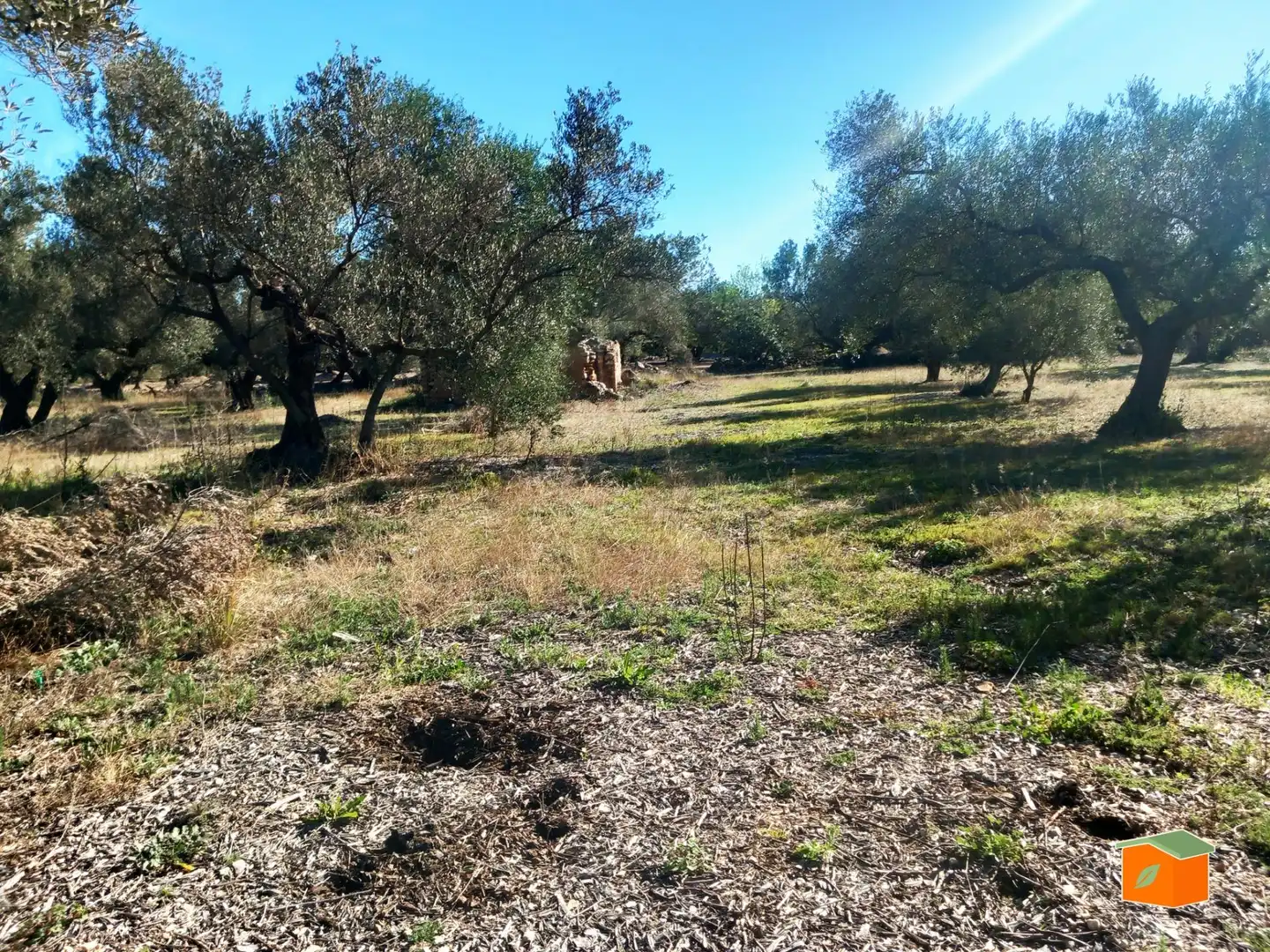 Terreno rustico in vendita a Mas de Barberans, imagen 16