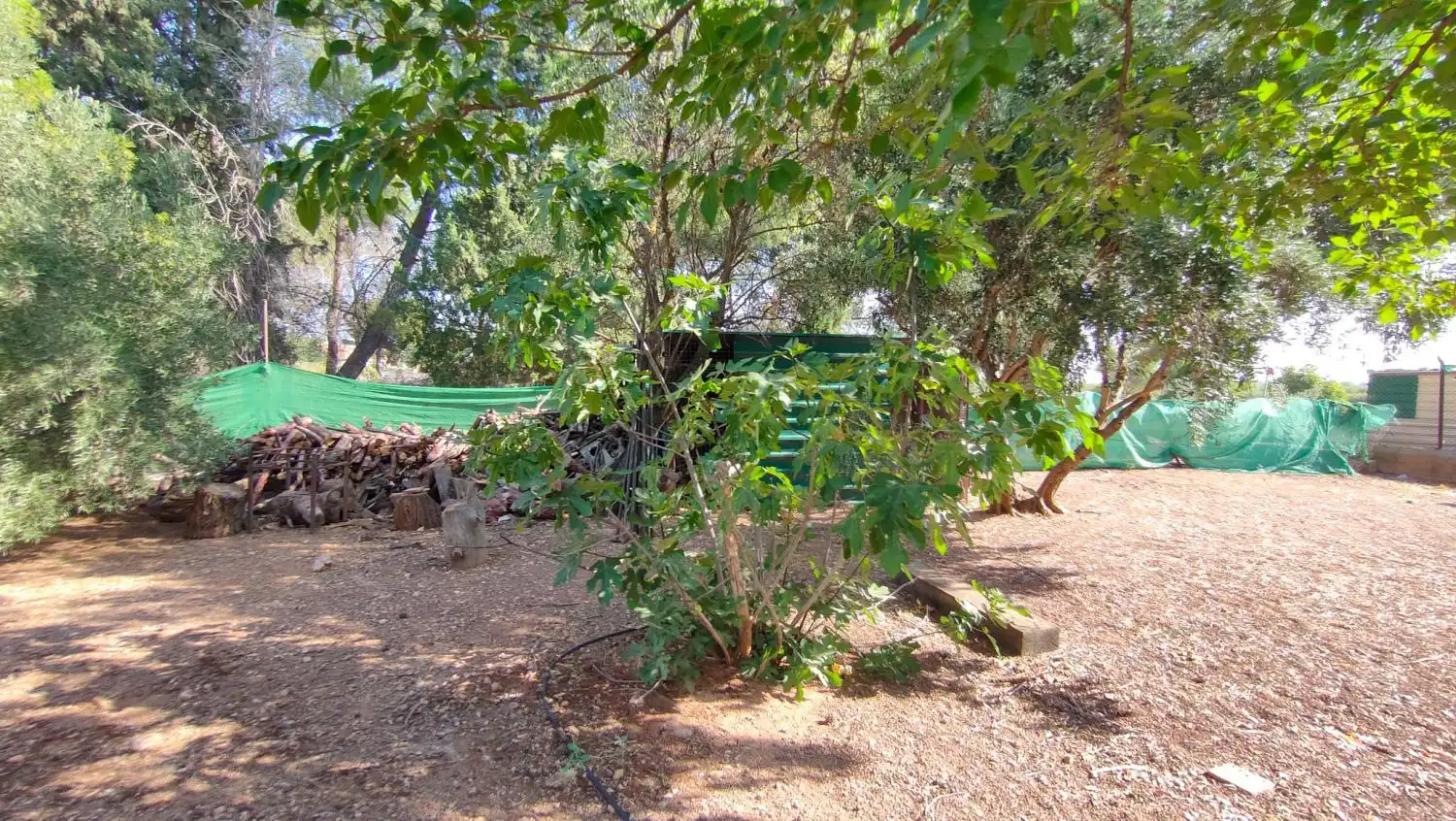 Casa rústica en venda a Valdepeñas, imagen 39