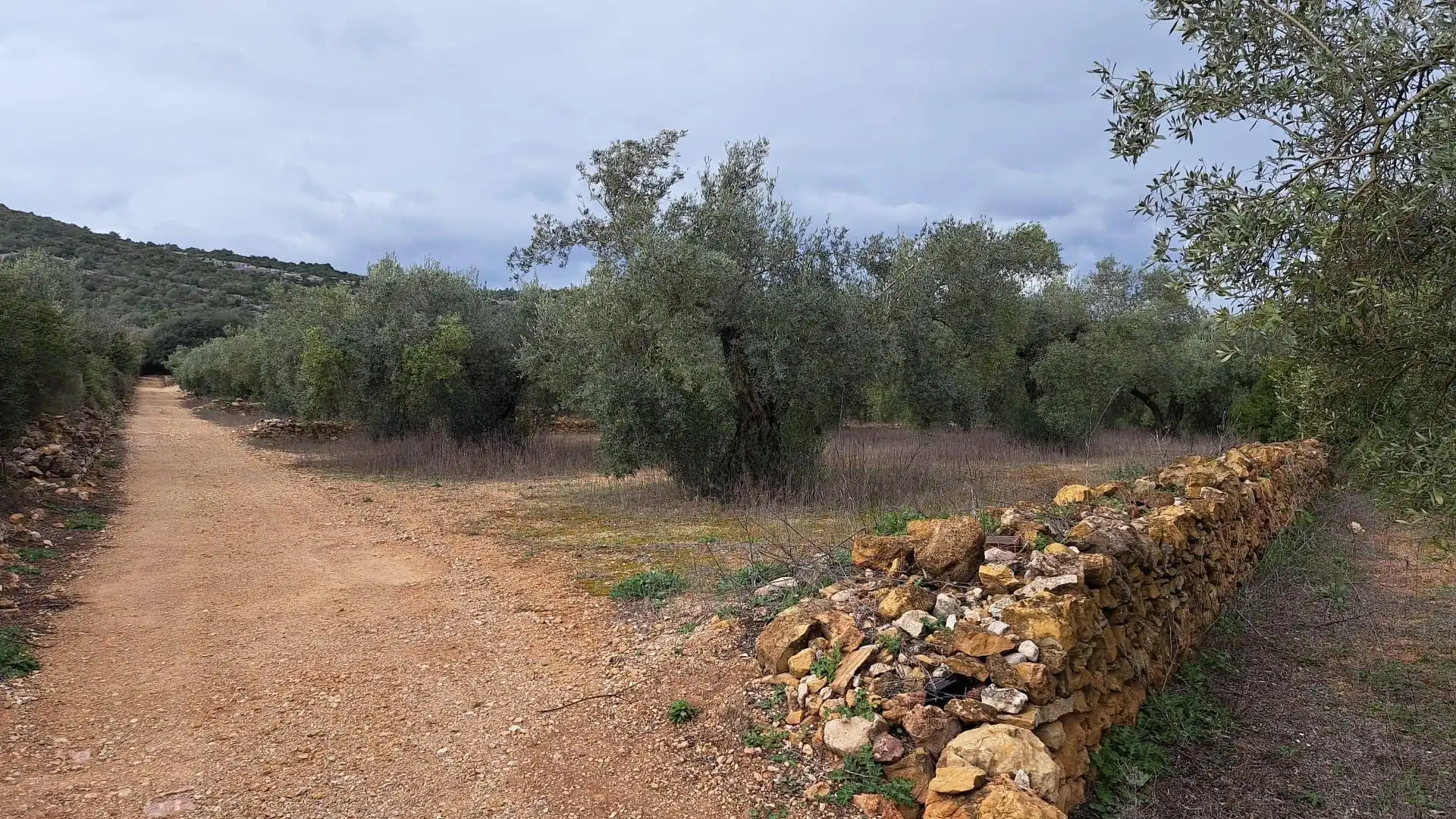 Terreno en venta en Freginals