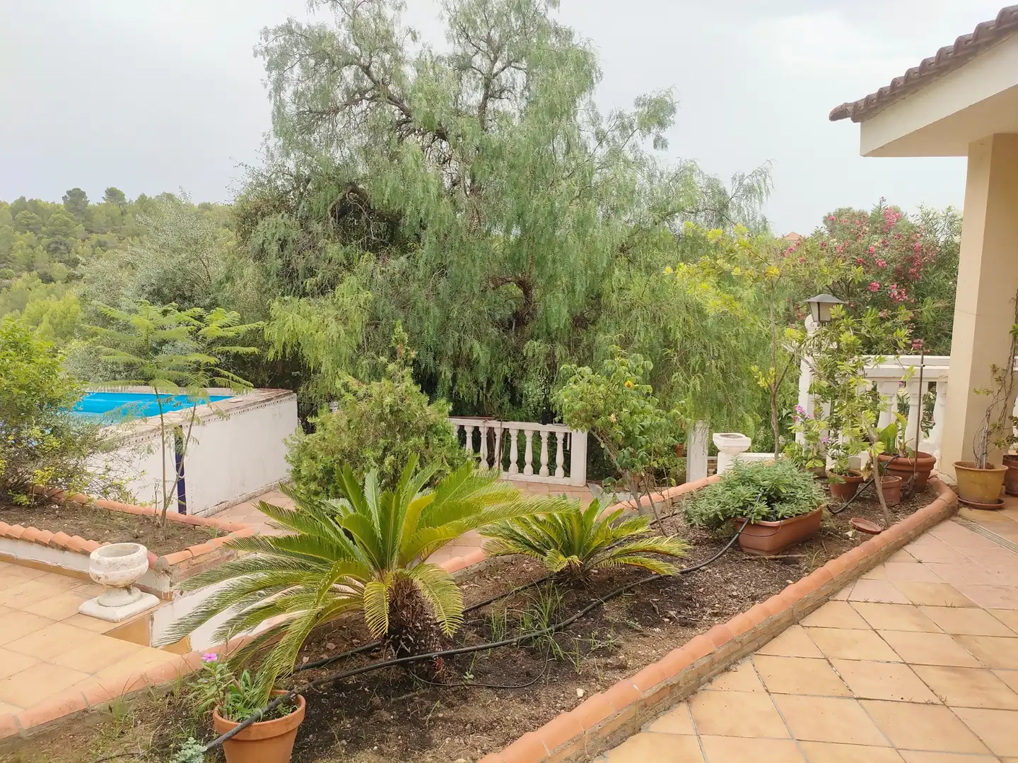 Jardín de Casa o chalet en venta en Turís con Jardín privado, Terraza y Trastero
