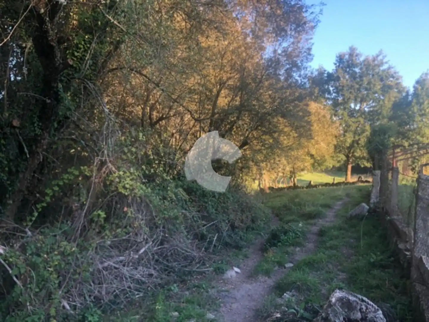 Terreni e lotti in vendita a Nogueira de Ramuín, imagen 40