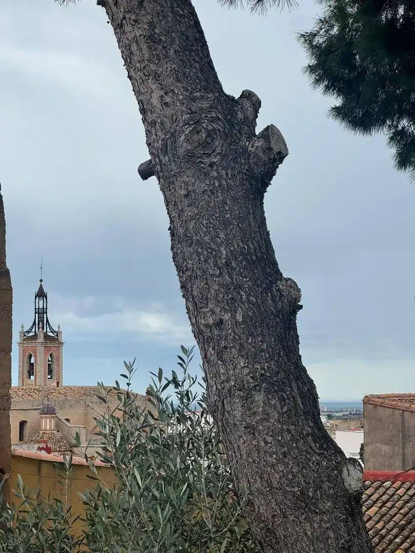 Casa a schiera in vendita a CIUDADELA, imagen 29