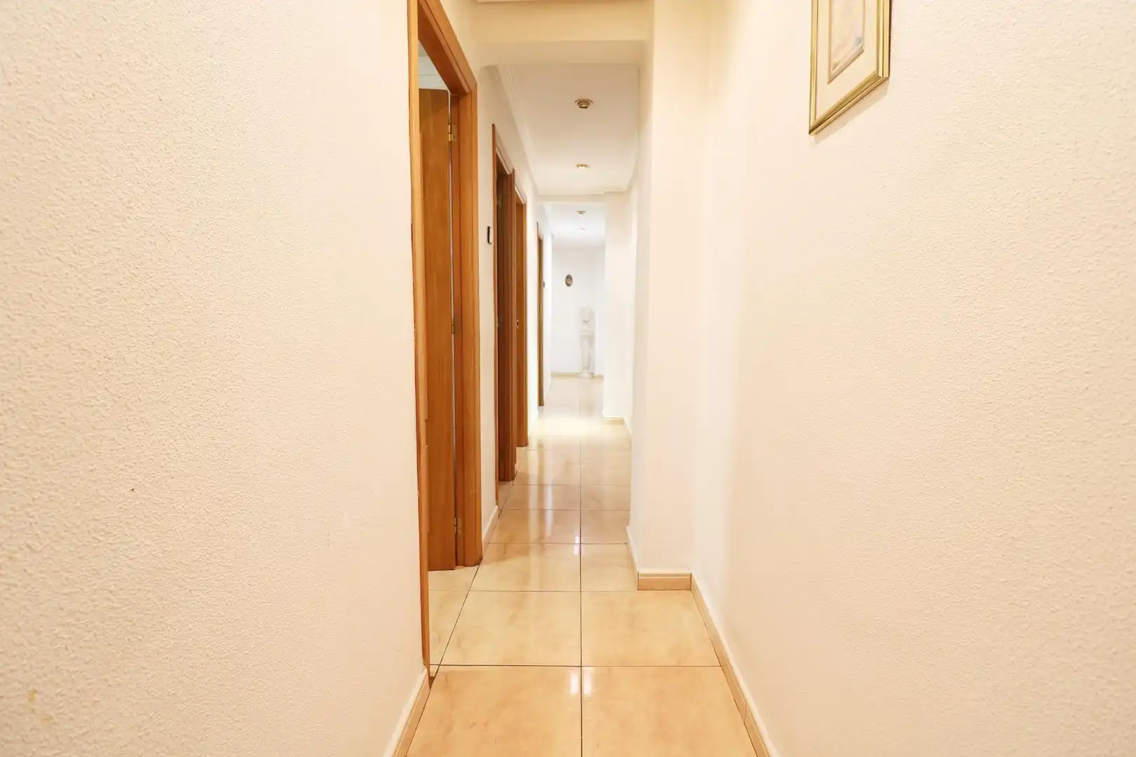 Wohnung zum Verkauf in Elche ciudad, imagen 20