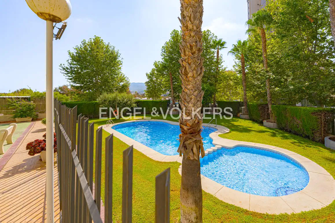 Swimming pool of Apartments for sale in Benidorm  with Air Conditioner and Community pool