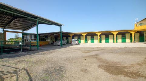 Foto 3 de Finca rústica en venda a Finca el Coronel , Camino Viejo de Málaga, Vélez-Málaga