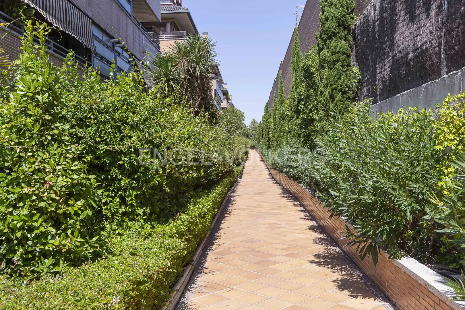 Flat with pool to rent in Sector S, imagen 28