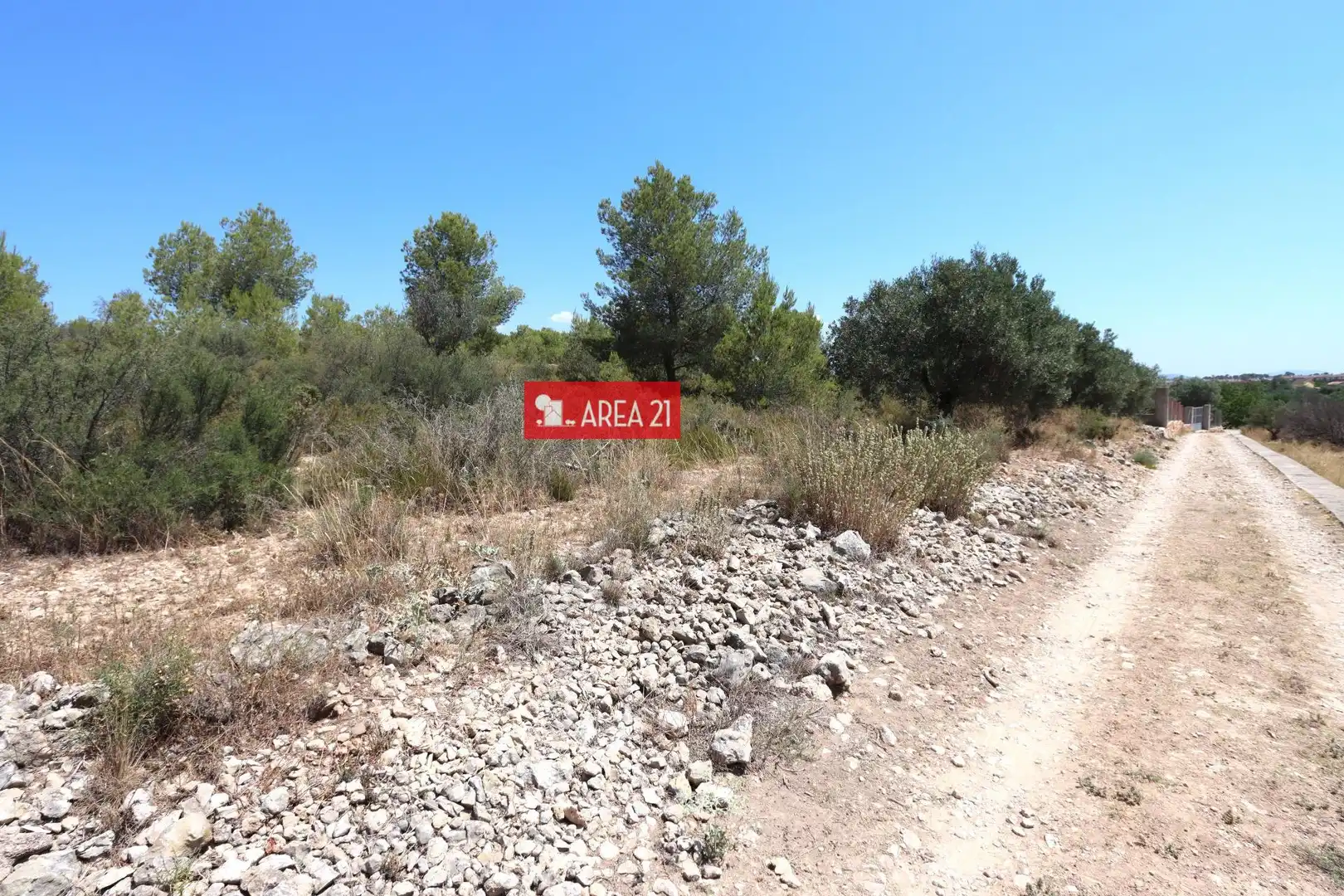 Terreno rústico en venta en Pla dels Aljubs, imagen 2