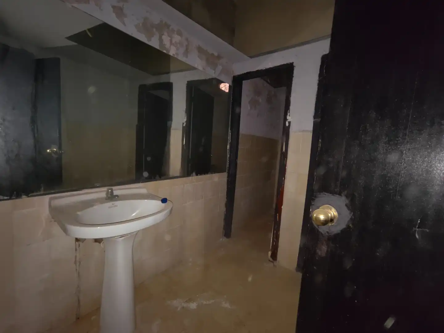 Bathroom of Commercial properties for sale in La Peza  with Terrace