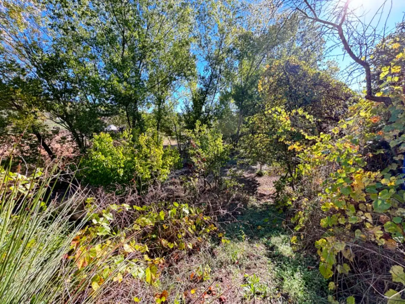 Maison avec jardin à vendre à Muro de Alcoy, imagen 31
