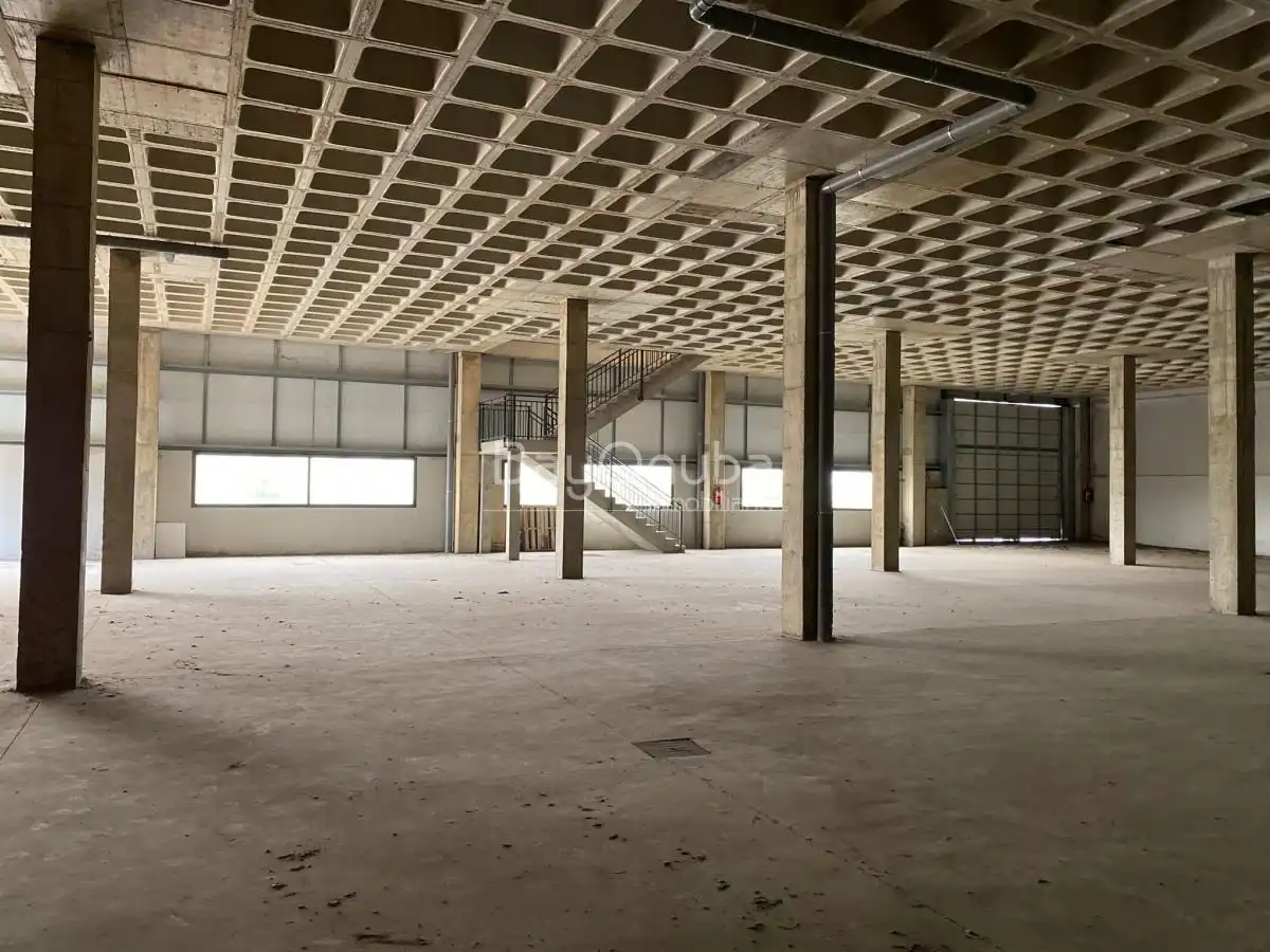 Industrial building with lift for sale in Nuevo Parque - Los Rosales - Tráfico Pesado, imagen 6