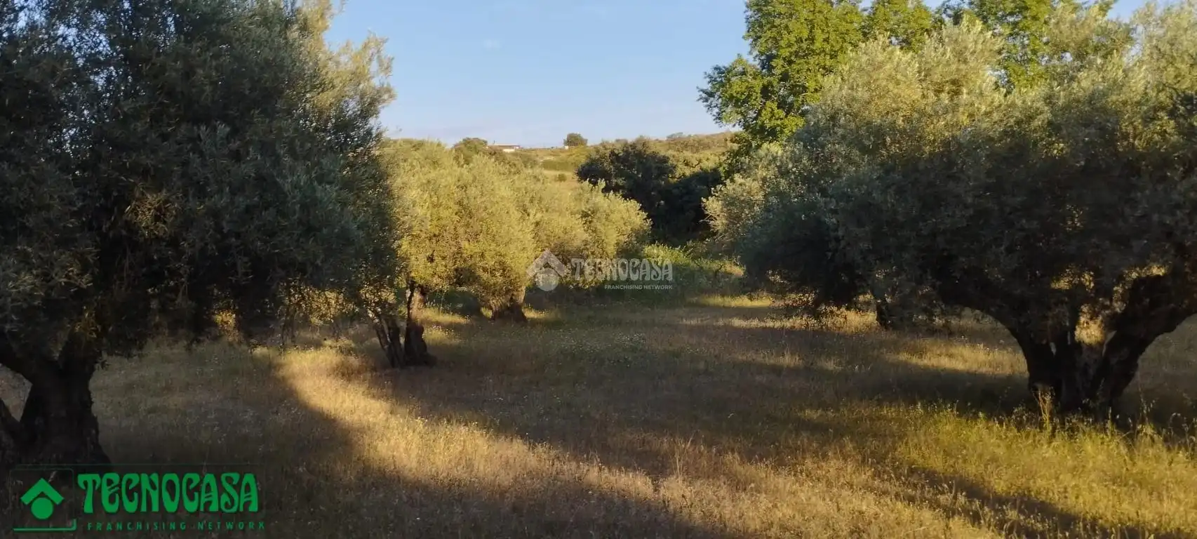 Terreni e lotti in vendita a Méntrida, imagen 31