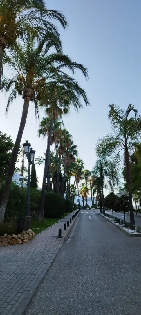 Piso con piscina en venta en Nueva Andalucía, imagen 56