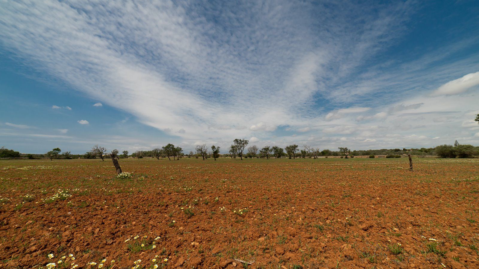 Land for sale in Santanyí