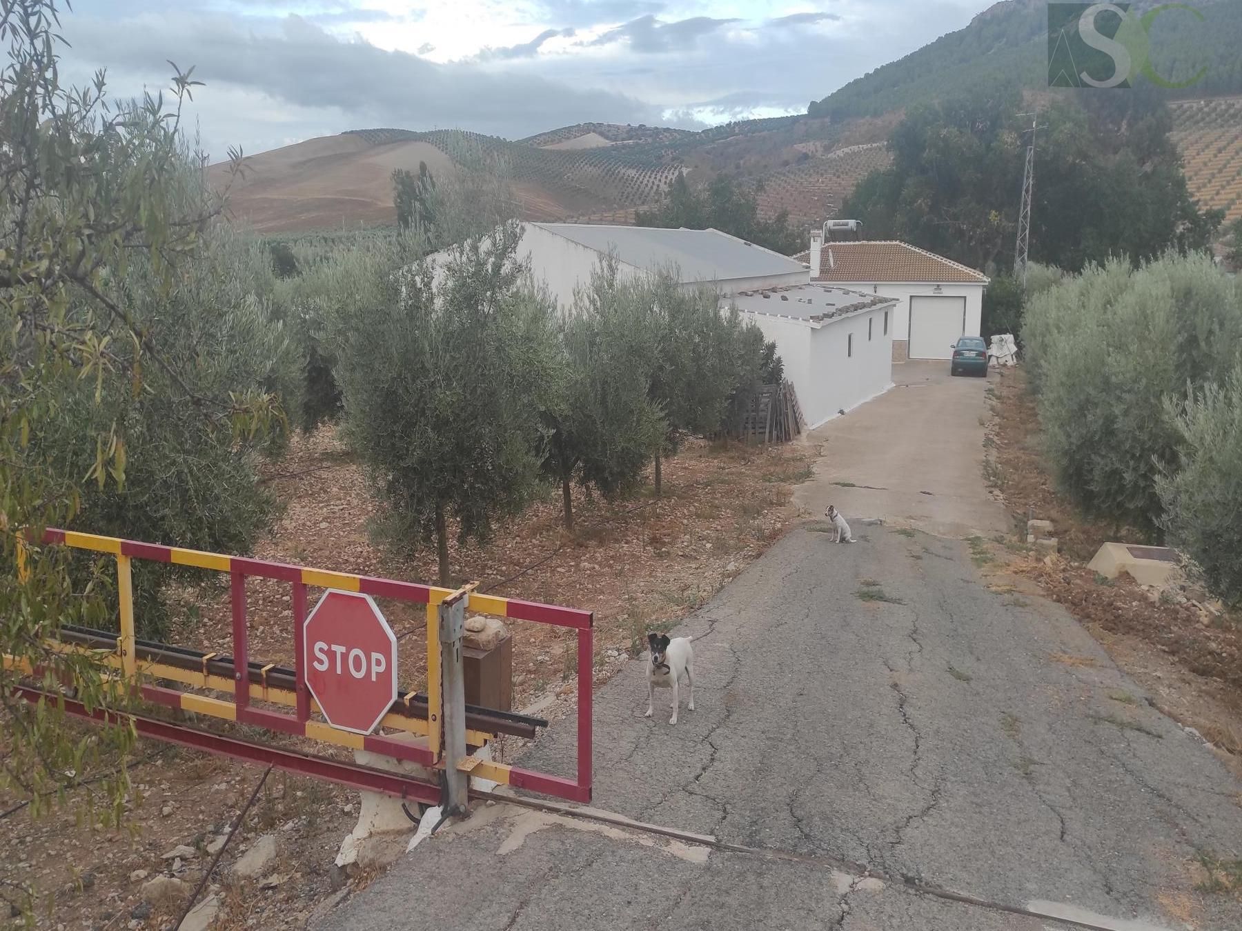 Country house for sale in Teba