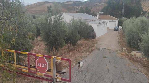 TebaFinca Rustica