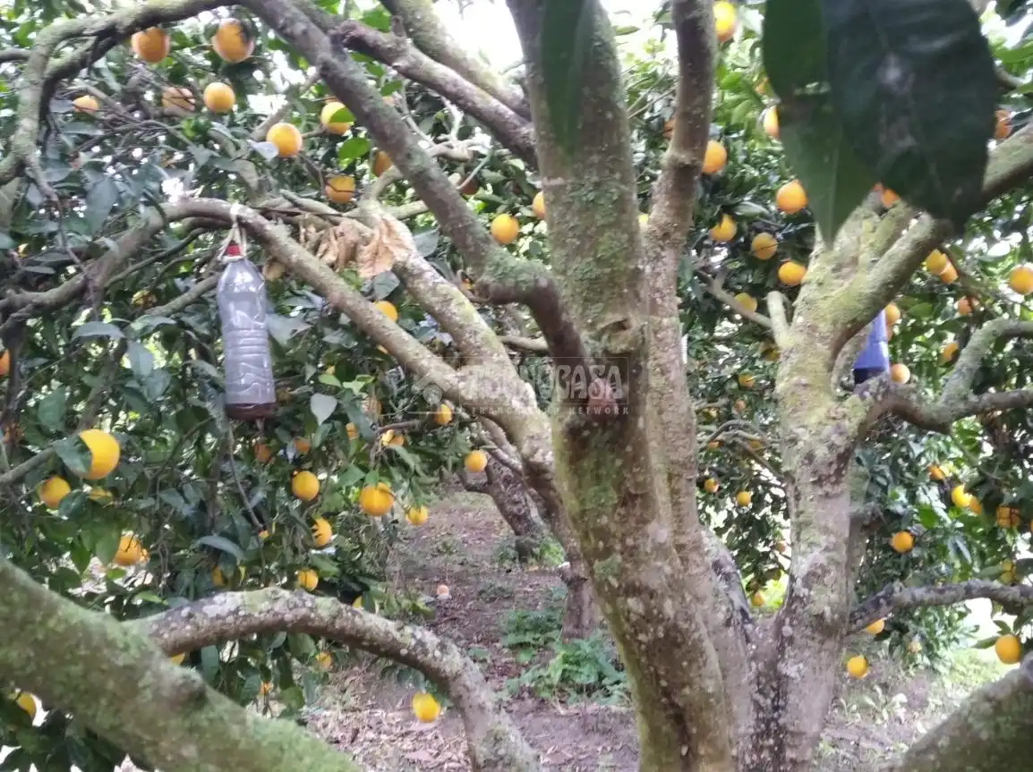 Terreno rustico in vendita a Barbate ciudad, imagen 7