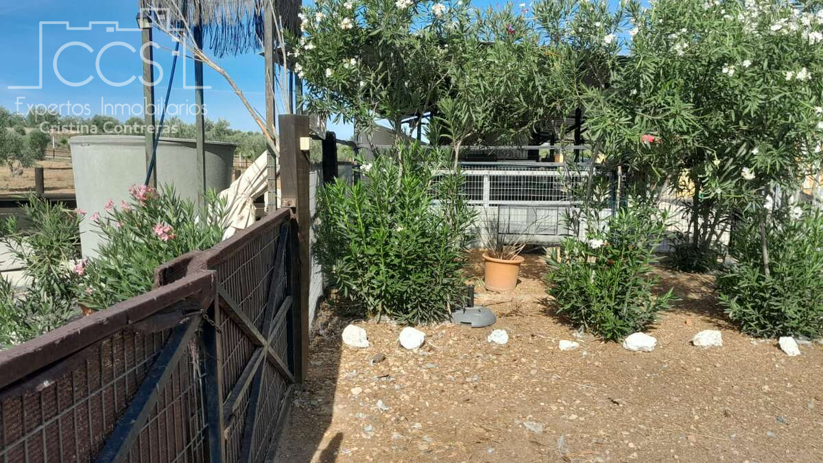 Jardí de Finca rústica de lloguer en Almonte amb Jardí privat