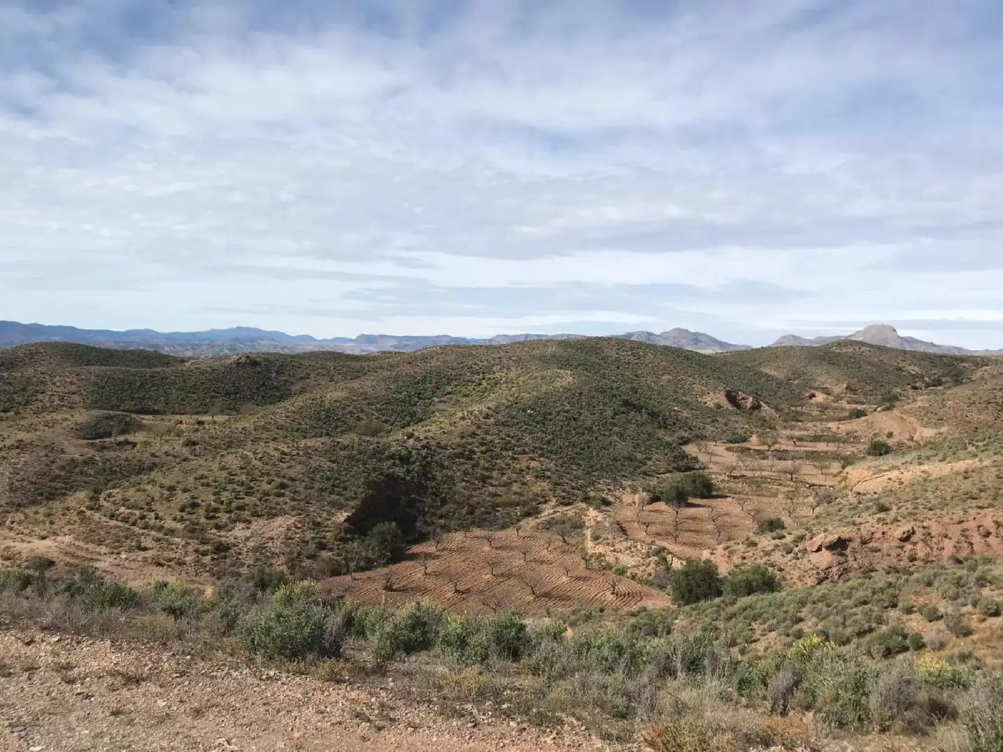 Industrial land for sale in Albox