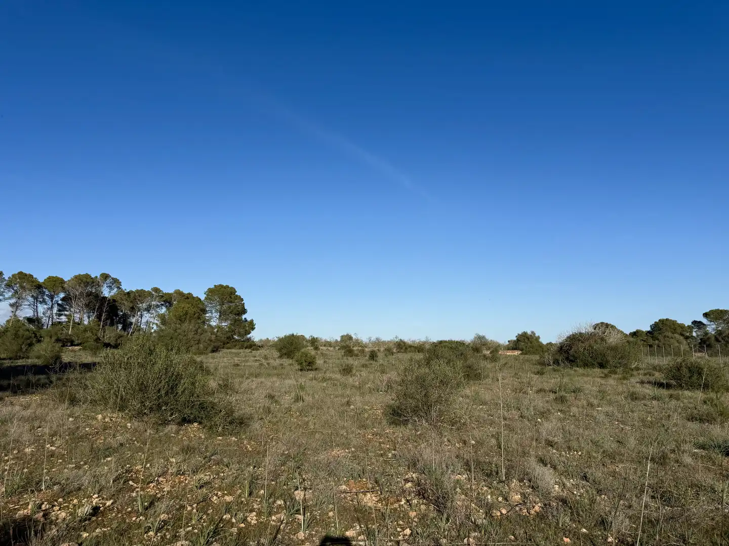 Terreni e lotti in vendita a Algaida, imagen 4