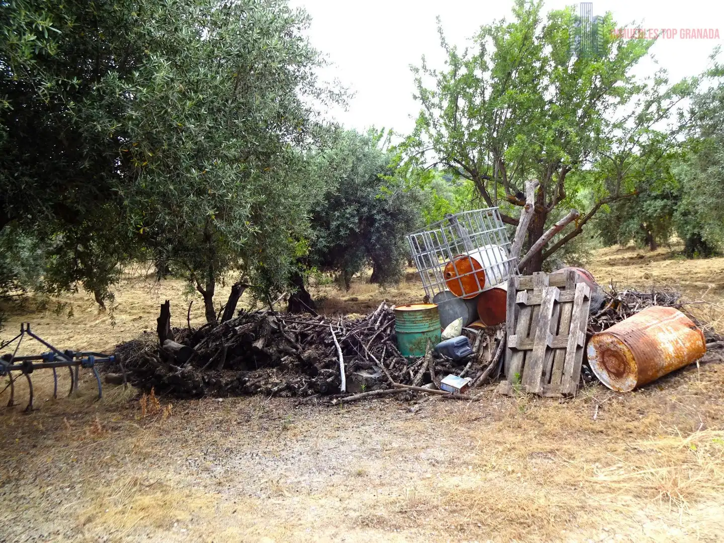 Jardí de Finca rústica en venda en Pinos Genil