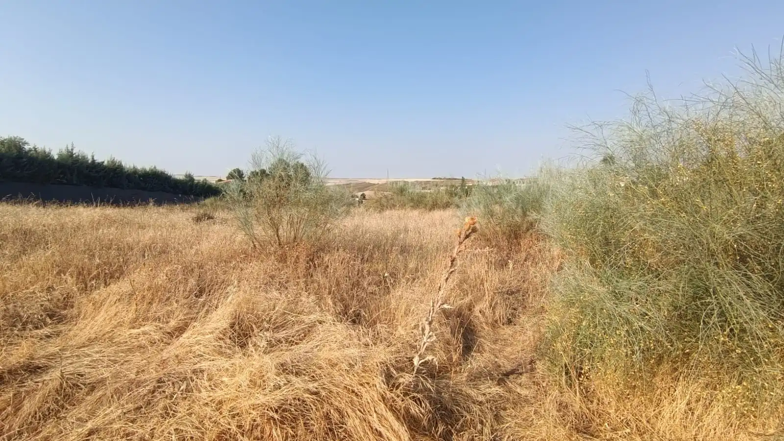 Residencial en venda en Barajas de Melo