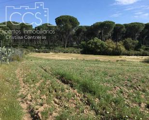 Finca rústica en venda en Almonte amb Terrassa i Moblat