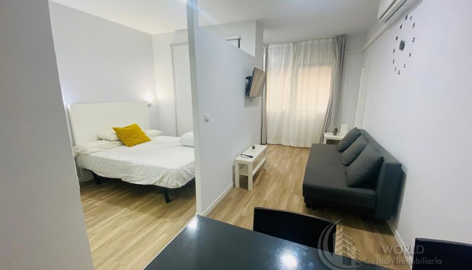 Estudio de alquiler en Calle de Ayala, Recoletos - Imagen 2