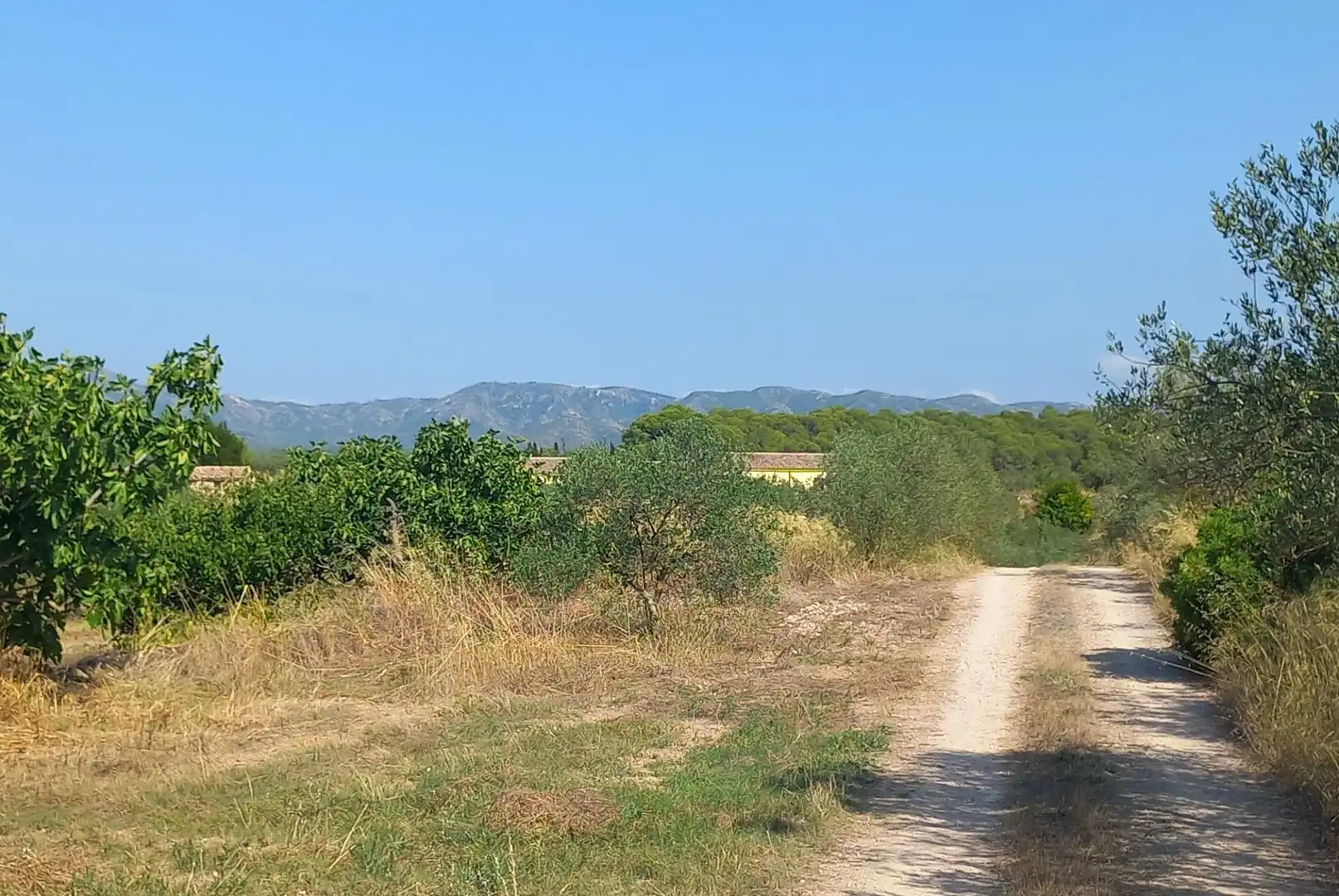 Finca rústica en venta en Rasquera