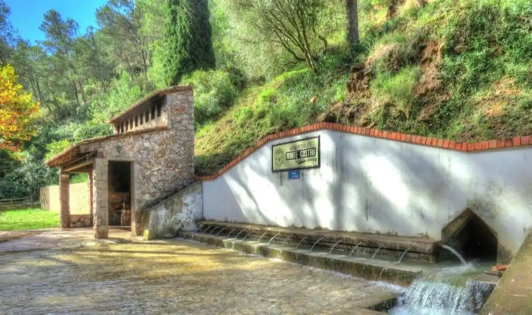Study for sale in Castellón de la Plana / Castelló de la Plana