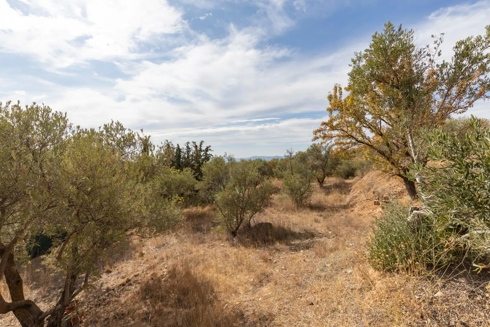 Finca rústica en venta en Cogollos de la Vega con Jardín privado y Piscina