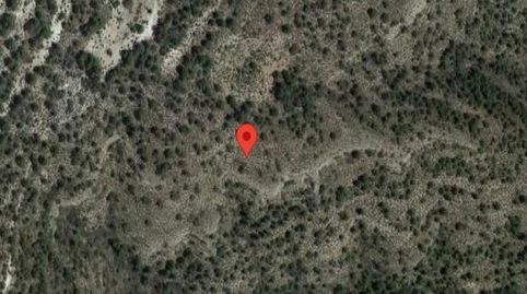 Solvia Inmobiliaria  Suelo Rústico Almansa, immagine 4