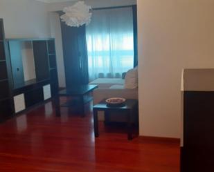 Living room of Duplex to rent in Ourense Capital   with Air Conditioner, Heating and Parquet flooring