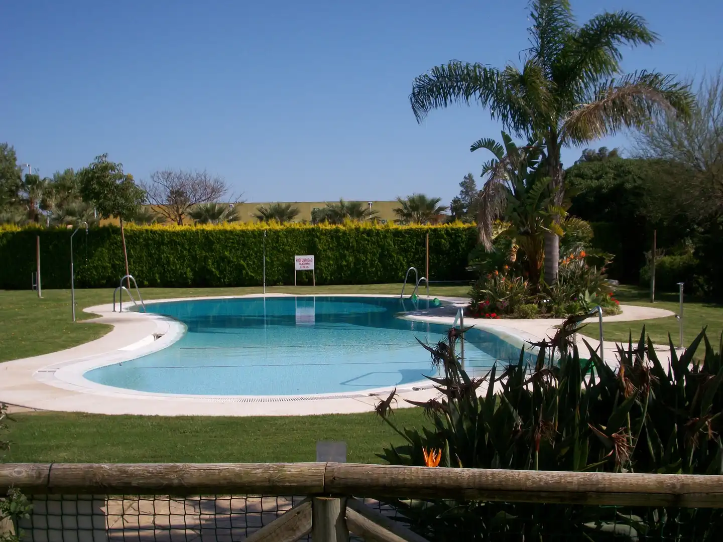 Apartment with pool to rent in Avenida de la Ballena 6, imagen 7